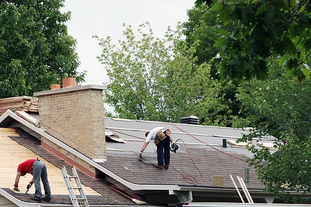 Roof Gutter Cleaning in Dooms, VA
